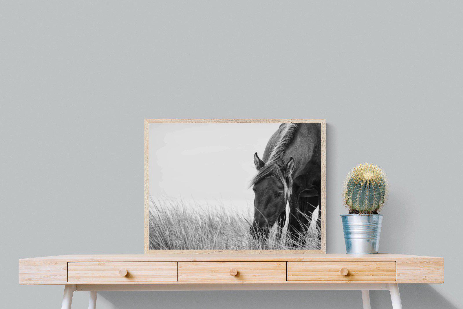 Sable Stallion-Wall_Art-80 x 60cm-Mounted Canvas-Wood-Pixalot