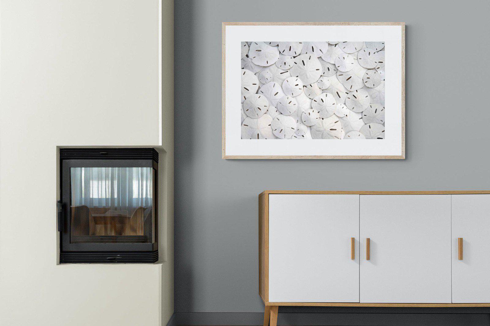 Sand Dollars-Wall_Art-100 x 75cm-Framed Print-Wood-Pixalot