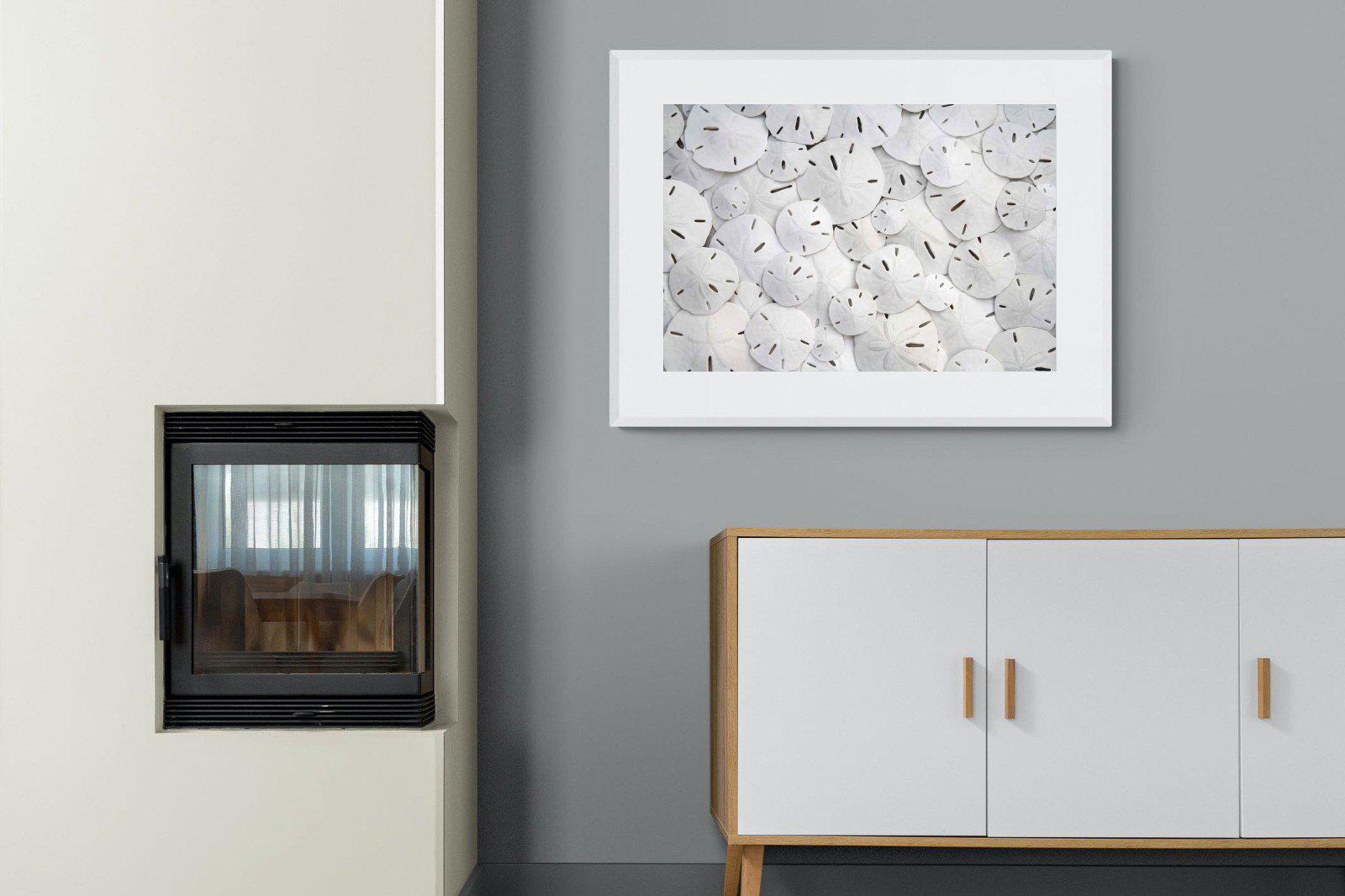 Sand Dollars-Wall_Art-100 x 75cm-Framed Print-White-Pixalot