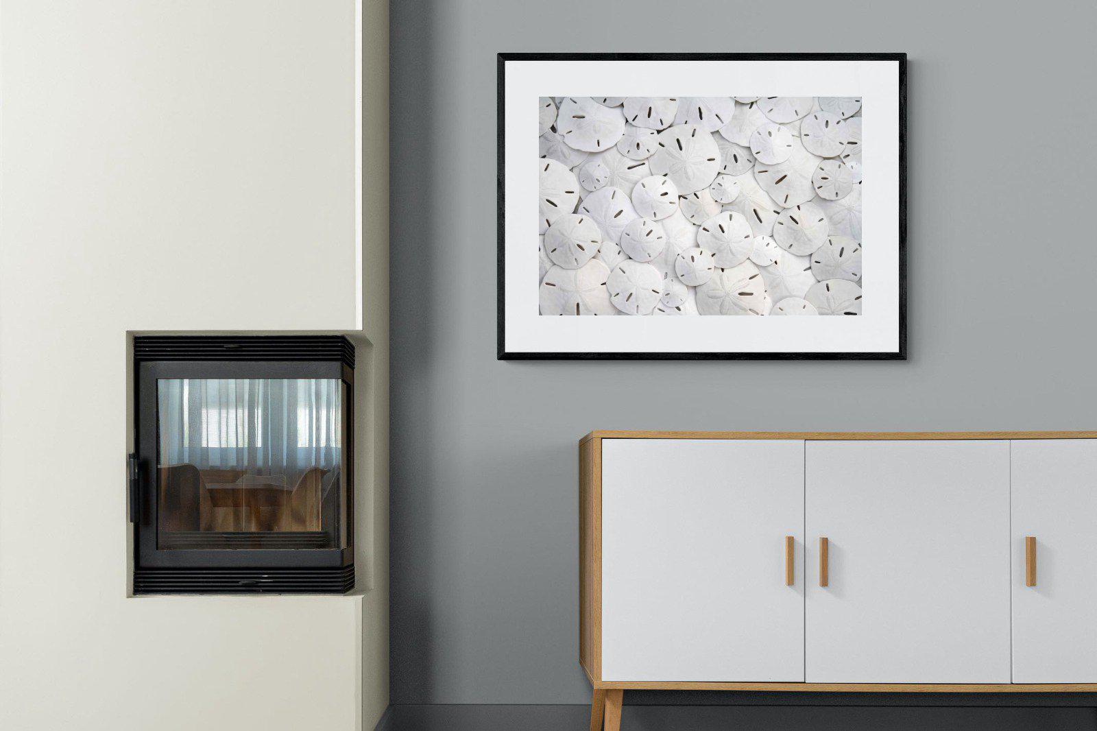 Sand Dollars-Wall_Art-100 x 75cm-Framed Print-Black-Pixalot