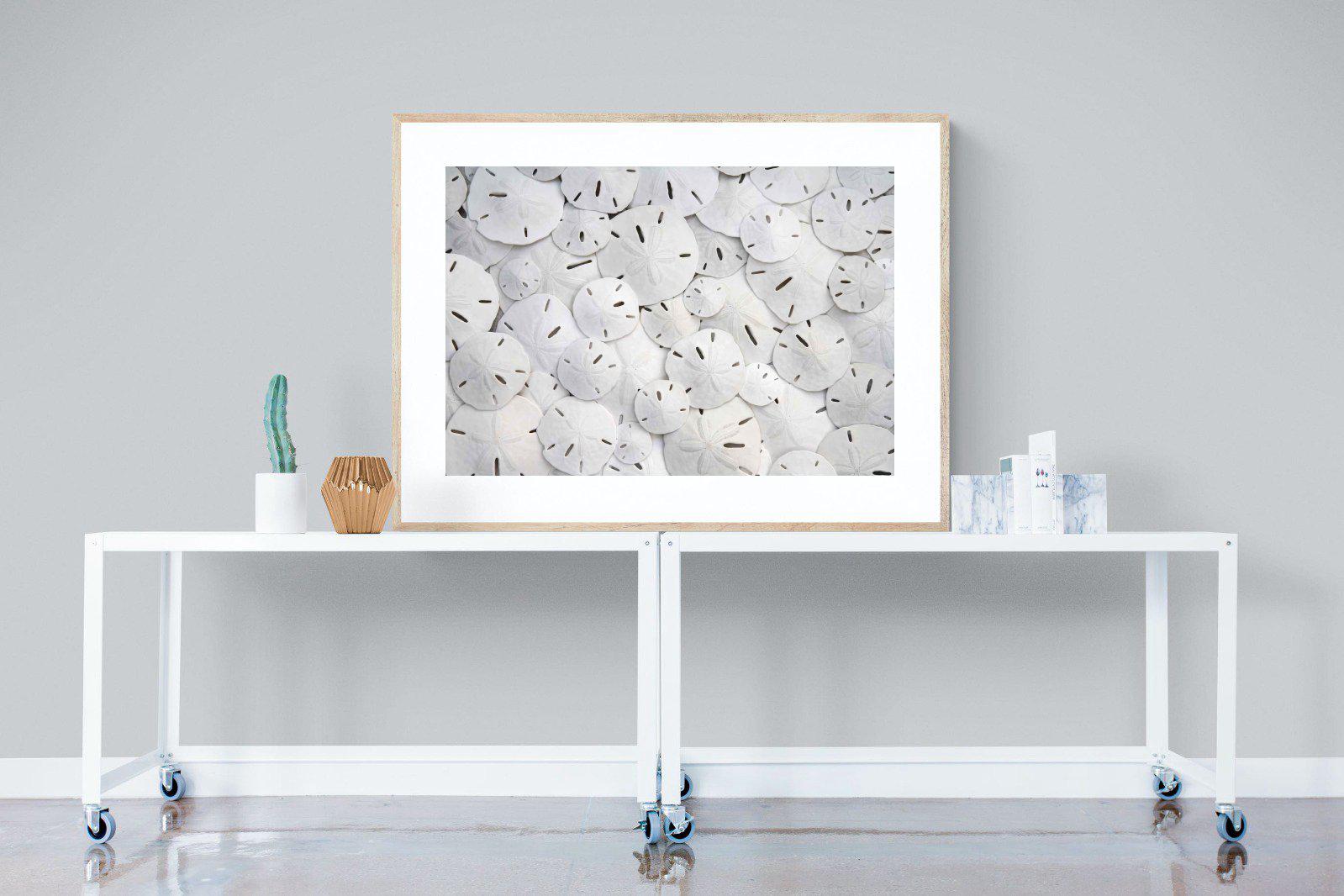 Sand Dollars-Wall_Art-120 x 90cm-Framed Print-Wood-Pixalot