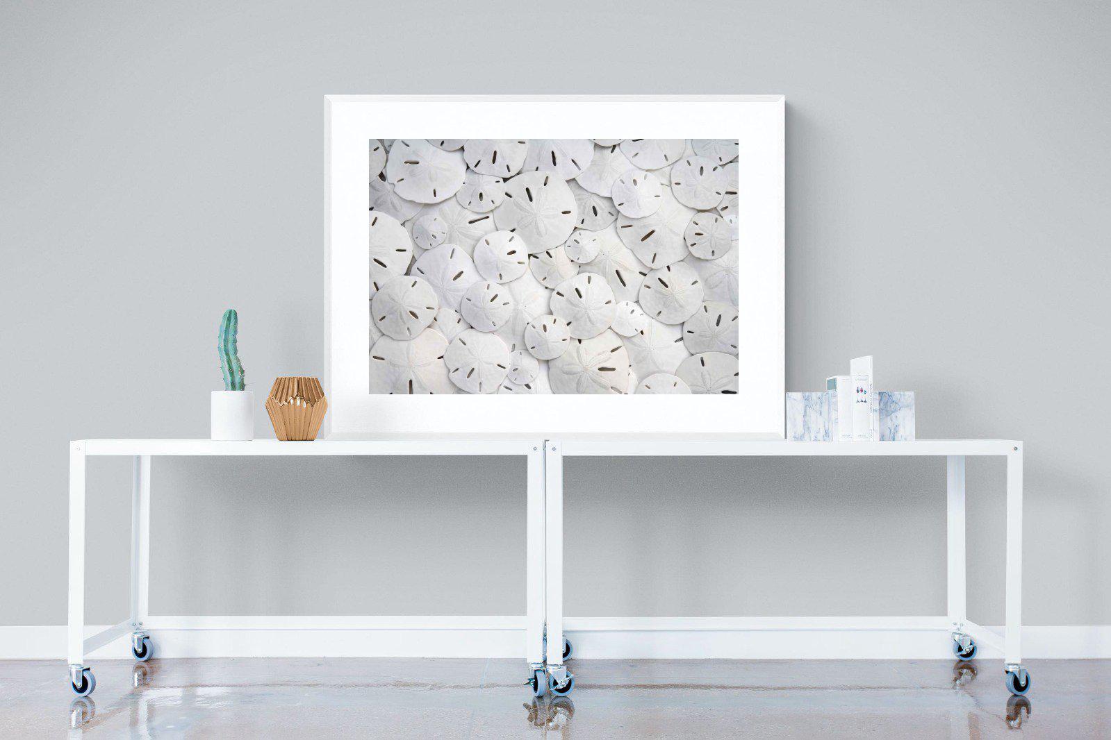 Sand Dollars-Wall_Art-120 x 90cm-Framed Print-White-Pixalot