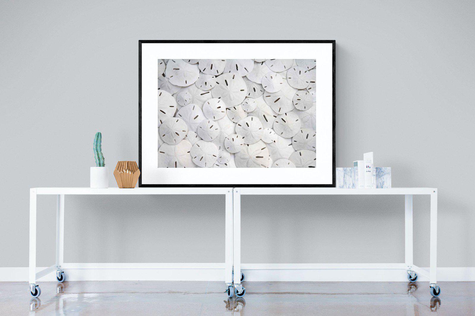 Sand Dollars-Wall_Art-120 x 90cm-Framed Print-Black-Pixalot