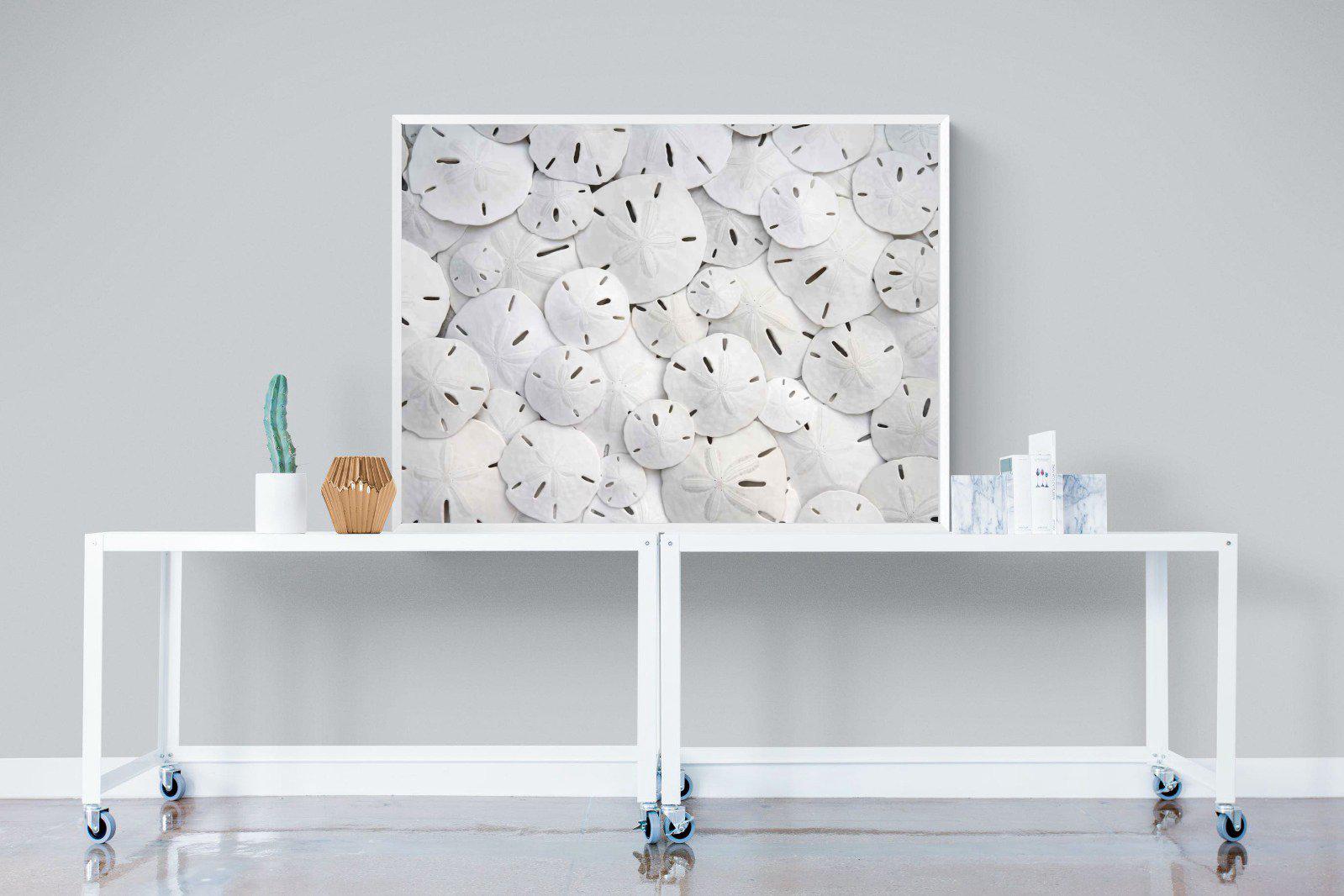 Sand Dollars-Wall_Art-120 x 90cm-Mounted Canvas-White-Pixalot