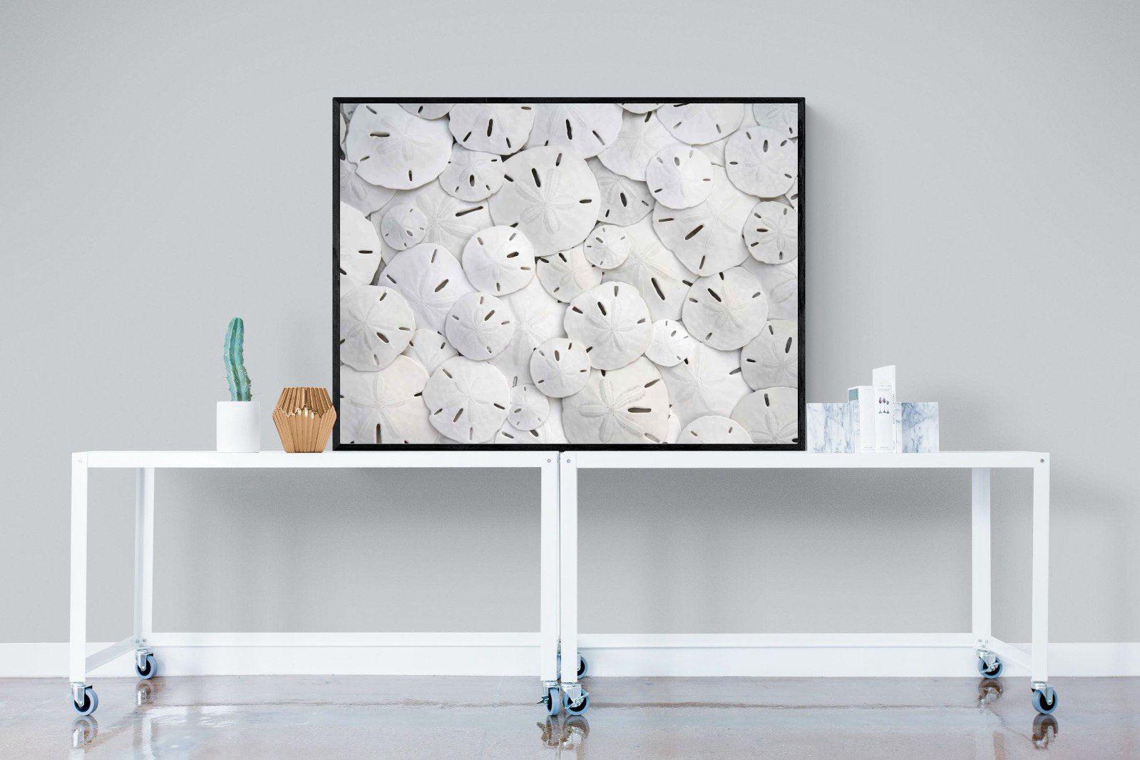 Sand Dollars-Wall_Art-120 x 90cm-Mounted Canvas-Black-Pixalot