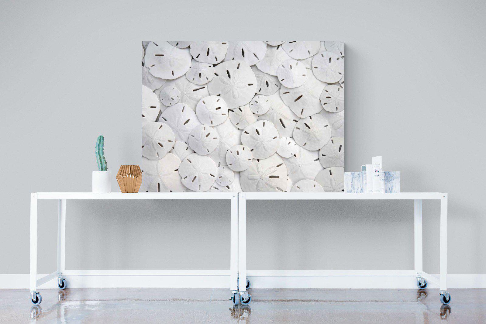 Sand Dollars-Wall_Art-120 x 90cm-Mounted Canvas-No Frame-Pixalot