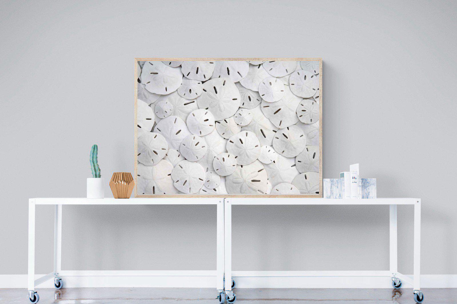 Sand Dollars-Wall_Art-120 x 90cm-Mounted Canvas-Wood-Pixalot