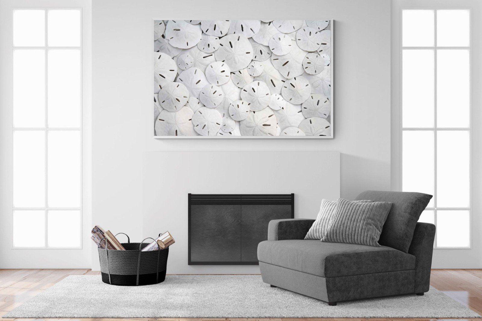 Sand Dollars-Wall_Art-150 x 100cm-Mounted Canvas-White-Pixalot