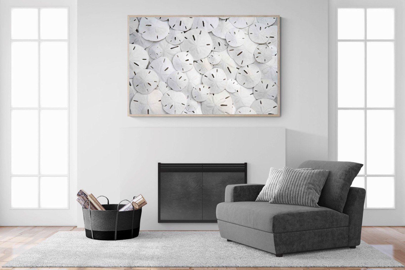 Sand Dollars-Wall_Art-150 x 100cm-Mounted Canvas-Wood-Pixalot