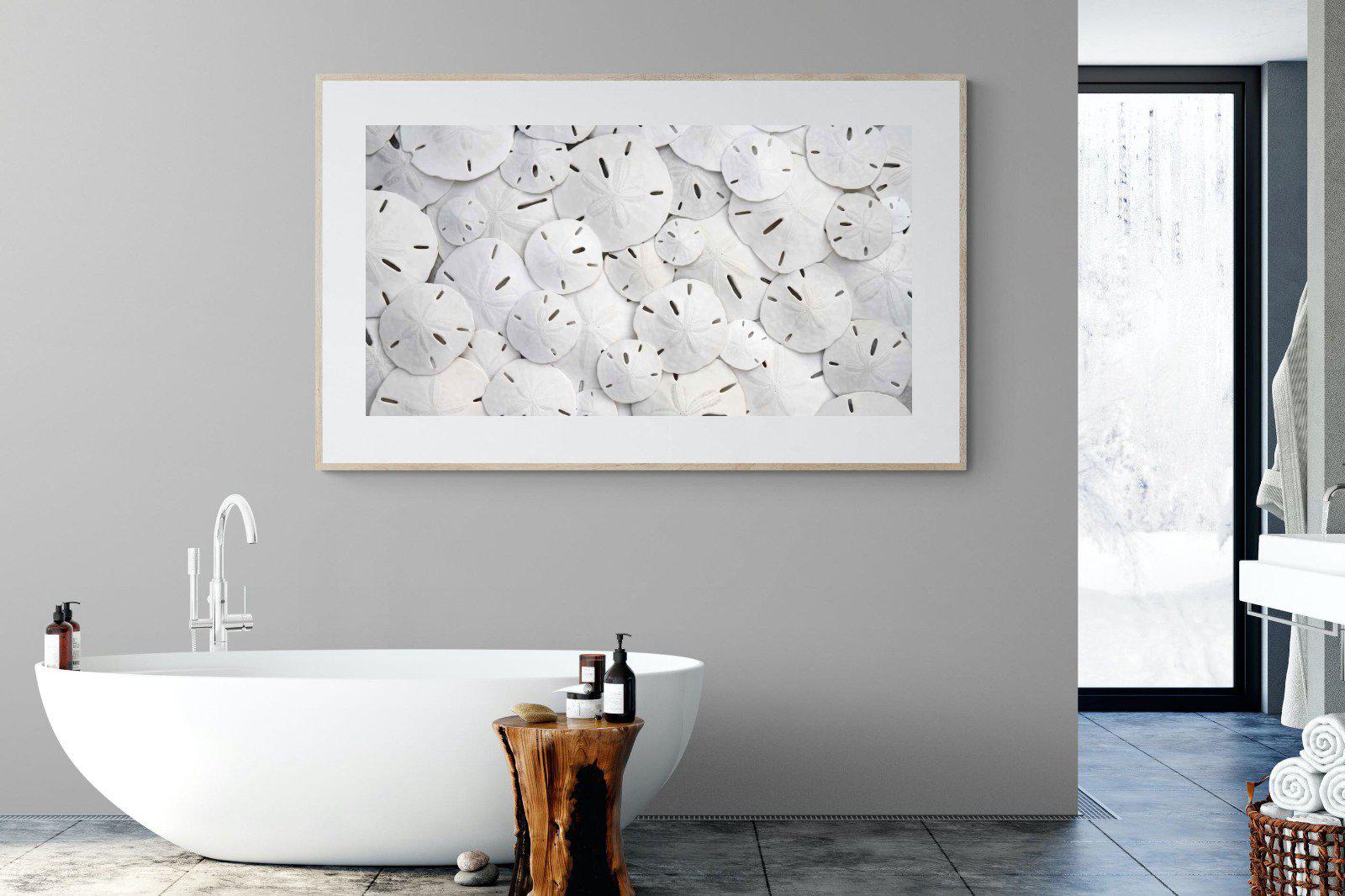 Sand Dollars-Wall_Art-180 x 110cm-Framed Print-Wood-Pixalot