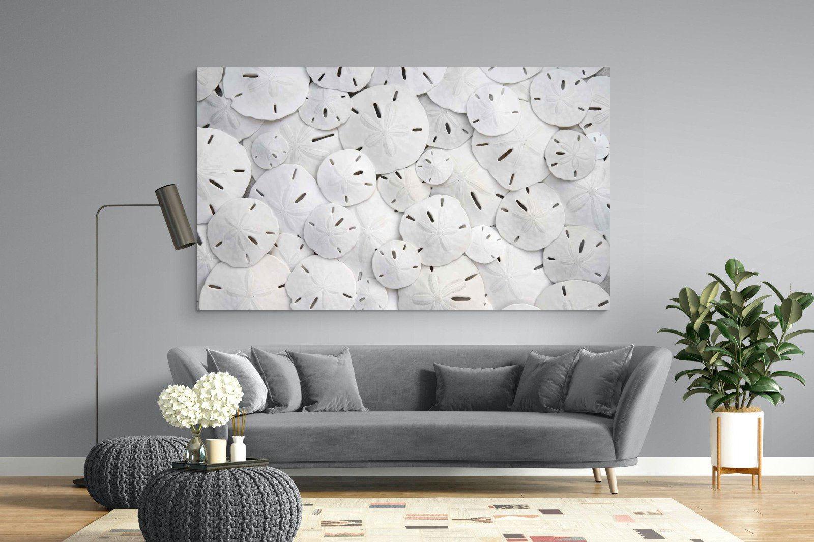 Sand Dollars-Wall_Art-220 x 130cm-Mounted Canvas-No Frame-Pixalot