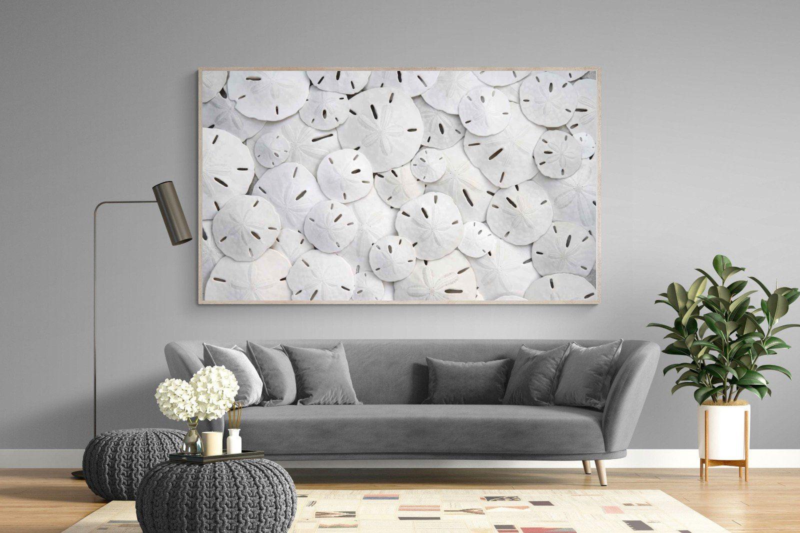 Sand Dollars-Wall_Art-220 x 130cm-Mounted Canvas-Wood-Pixalot