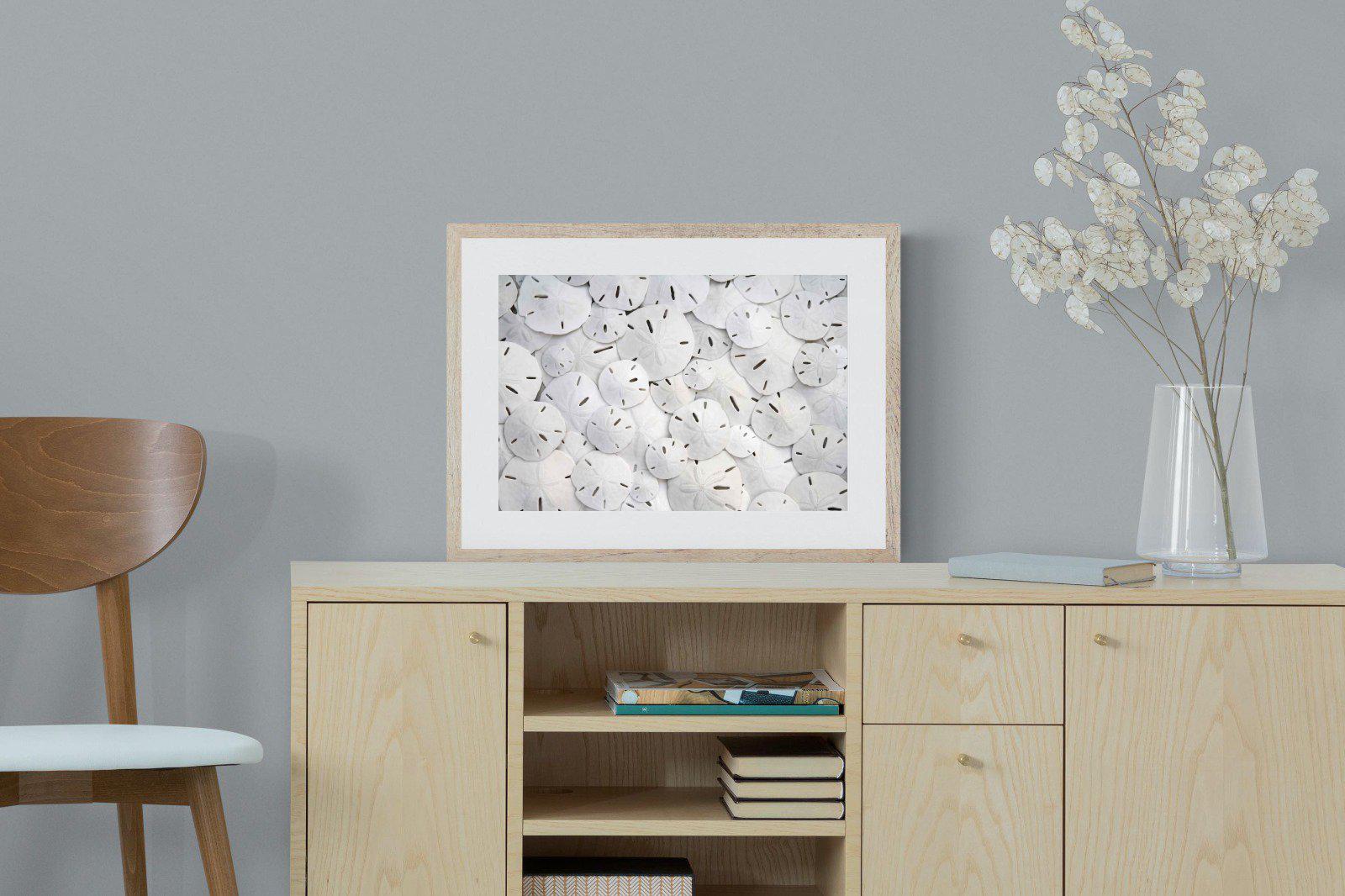 Sand Dollars-Wall_Art-60 x 45cm-Framed Print-Wood-Pixalot