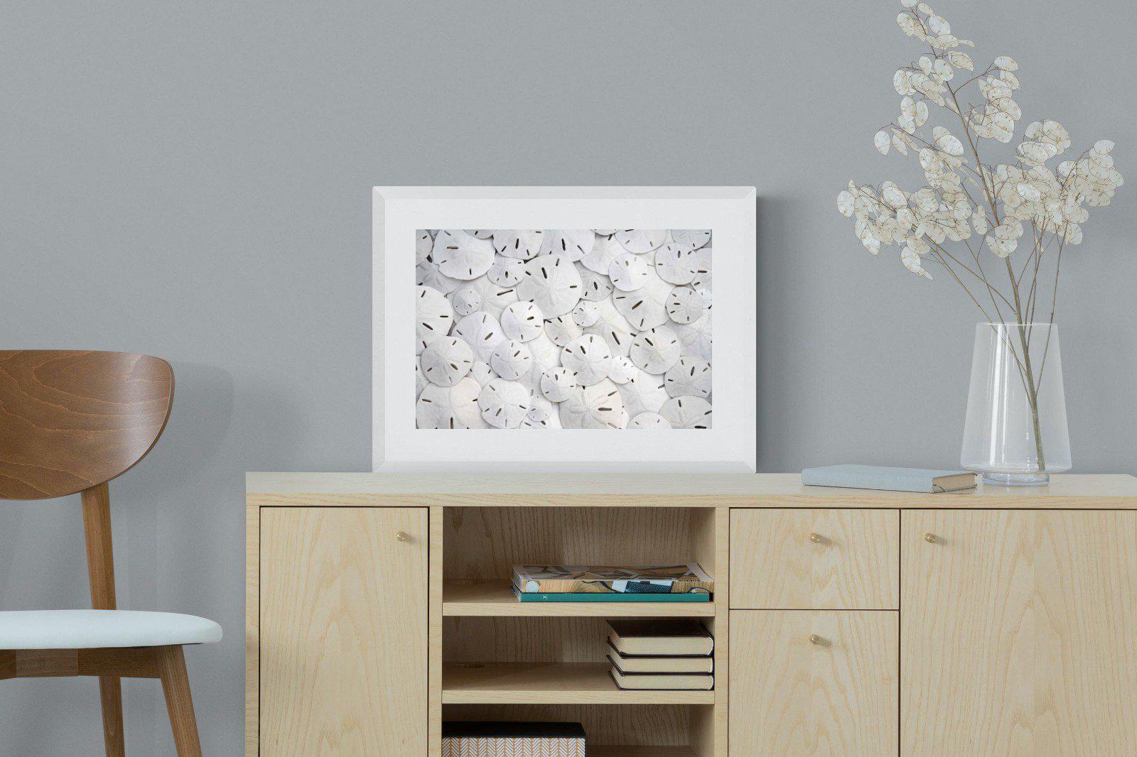 Sand Dollars-Wall_Art-60 x 45cm-Framed Print-White-Pixalot