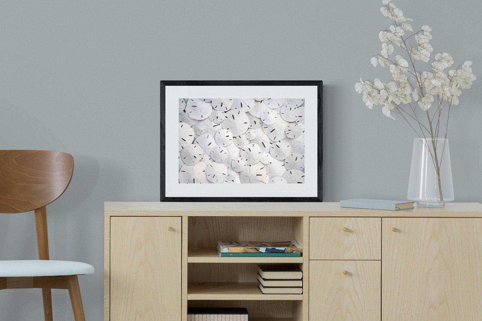 Sand Dollars-Wall_Art-60 x 45cm-Framed Print-Black-Pixalot