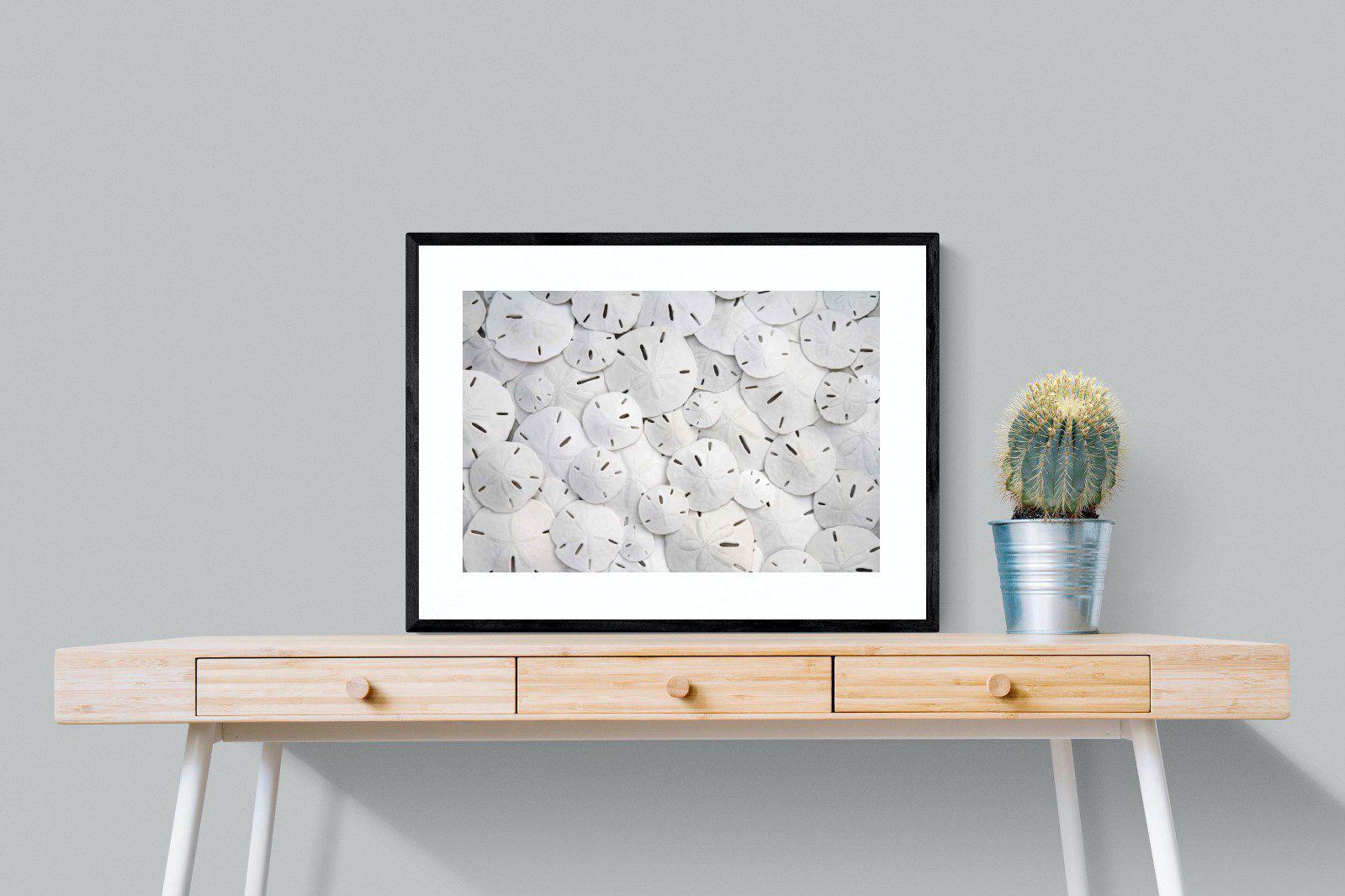 Sand Dollars-Wall_Art-80 x 60cm-Framed Print-Black-Pixalot