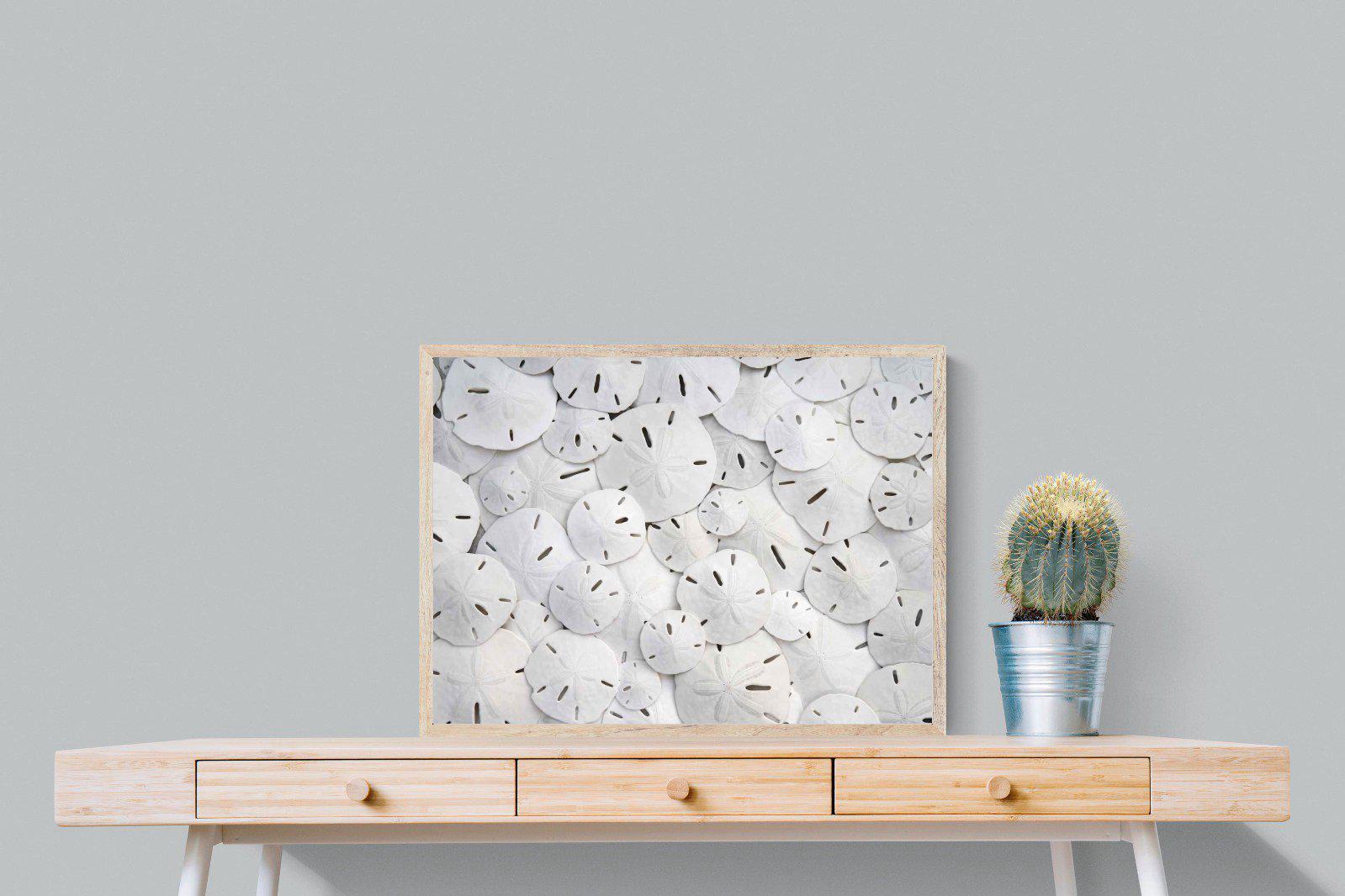 Sand Dollars-Wall_Art-80 x 60cm-Mounted Canvas-Wood-Pixalot