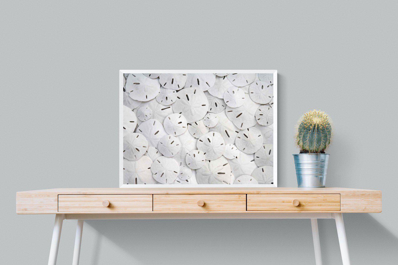 Sand Dollars-Wall_Art-80 x 60cm-Mounted Canvas-White-Pixalot