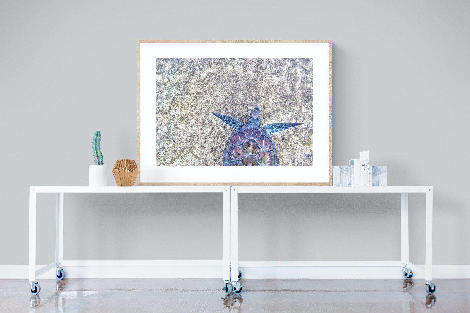Sapphire Sea Turtle-Wall_Art-120 x 90cm-Framed Print-Wood-Pixalot