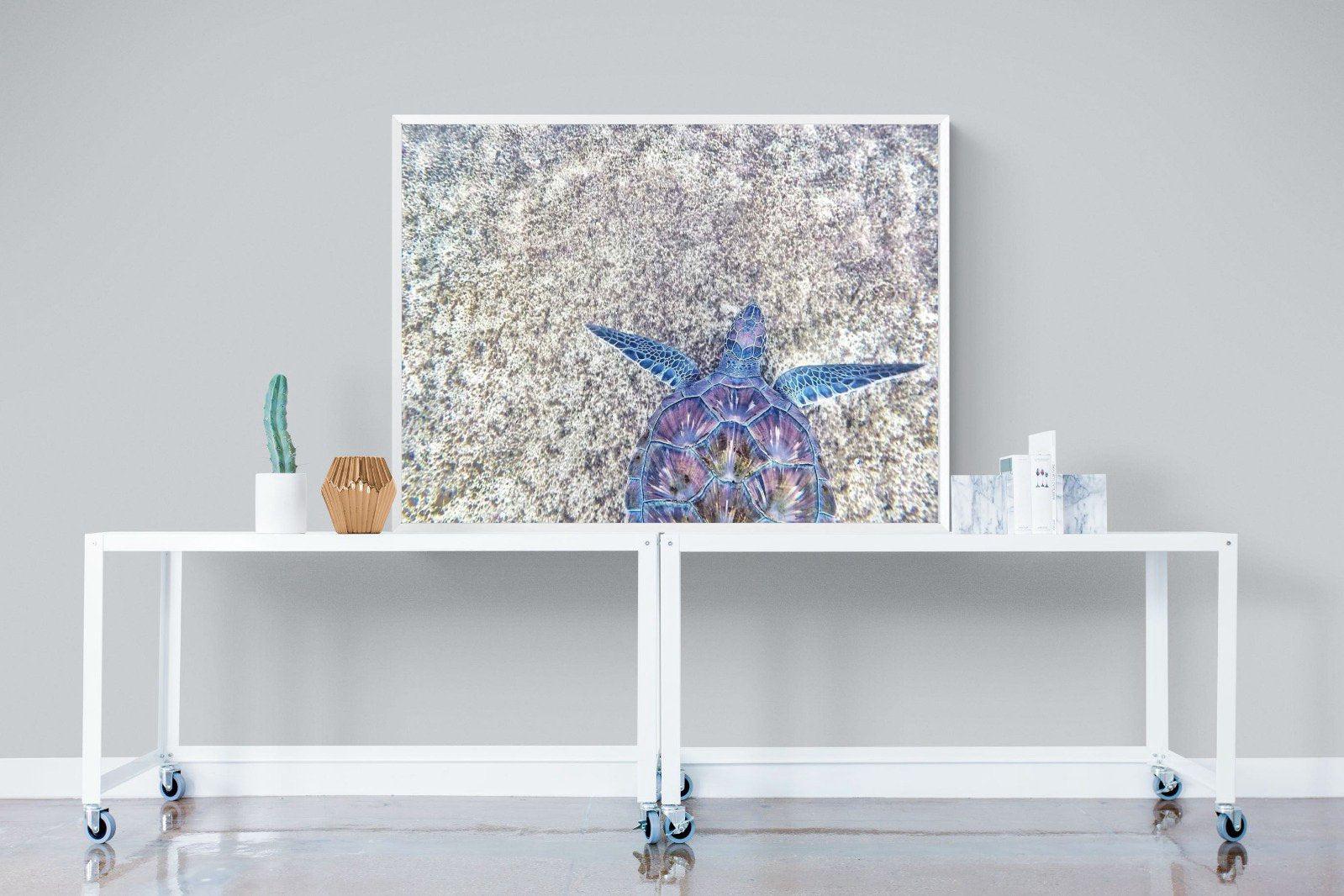 Sapphire Sea Turtle-Wall_Art-120 x 90cm-Mounted Canvas-White-Pixalot