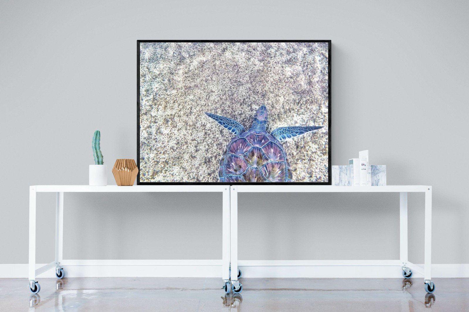 Sapphire Sea Turtle-Wall_Art-120 x 90cm-Mounted Canvas-Black-Pixalot