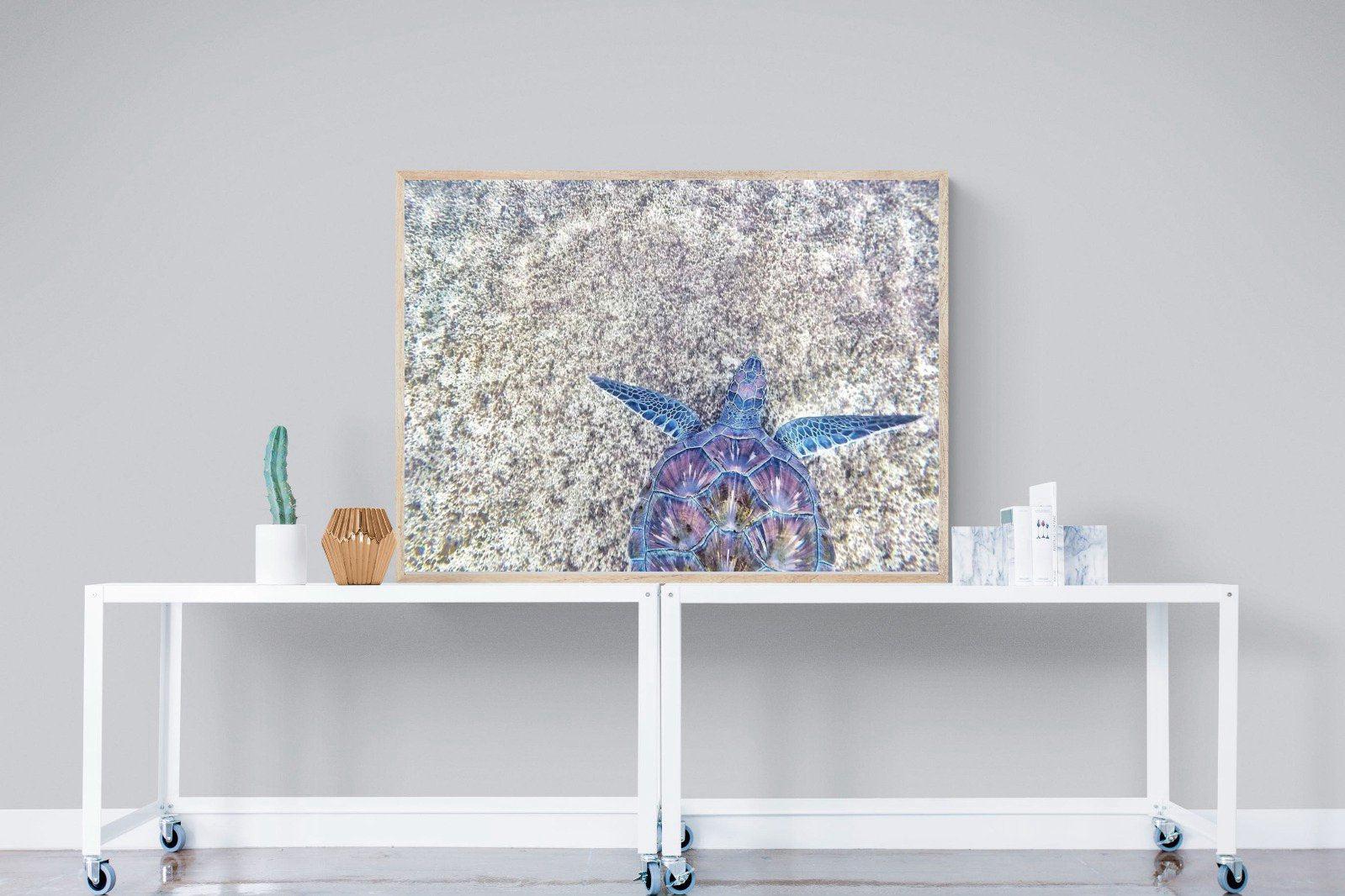 Sapphire Sea Turtle-Wall_Art-120 x 90cm-Mounted Canvas-Wood-Pixalot