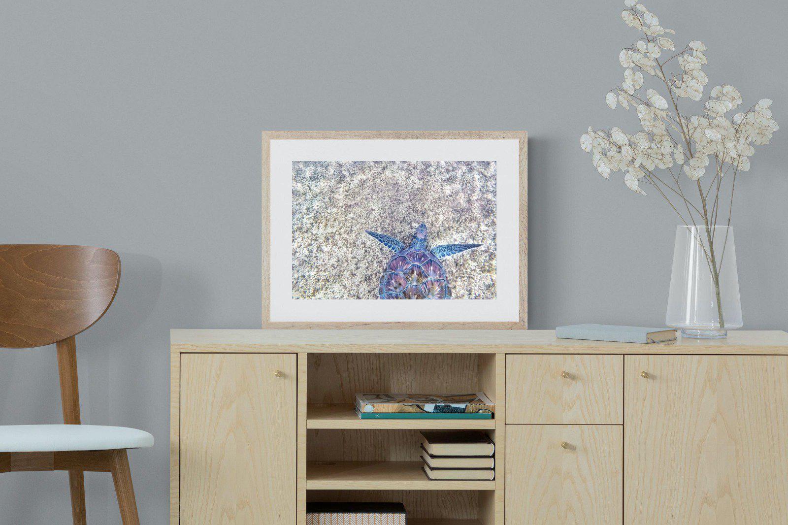 Sapphire Sea Turtle-Wall_Art-60 x 45cm-Framed Print-Wood-Pixalot