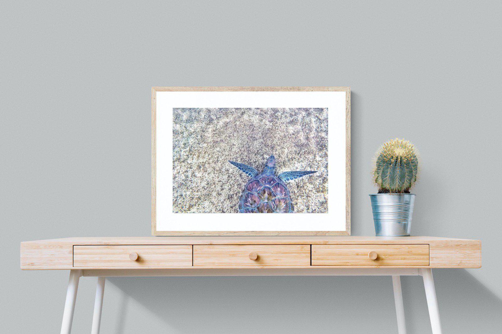 Sapphire Sea Turtle-Wall_Art-80 x 60cm-Framed Print-Wood-Pixalot