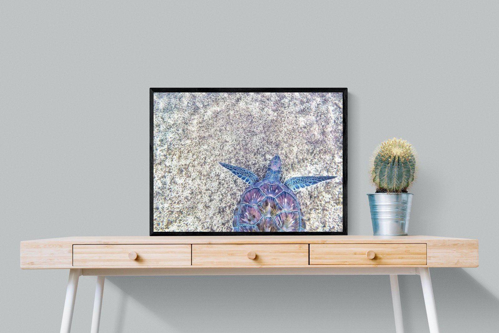 Sapphire Sea Turtle-Wall_Art-80 x 60cm-Mounted Canvas-Black-Pixalot