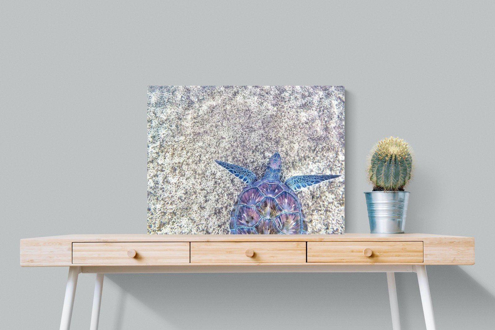 Sapphire Sea Turtle-Wall_Art-80 x 60cm-Mounted Canvas-No Frame-Pixalot