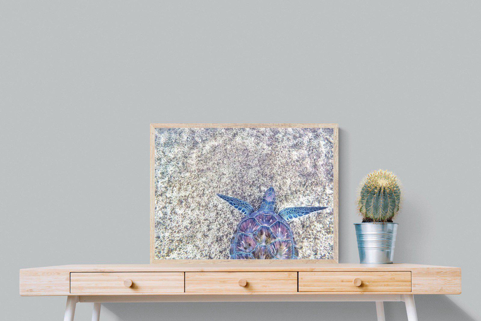 Sapphire Sea Turtle-Wall_Art-80 x 60cm-Mounted Canvas-Wood-Pixalot