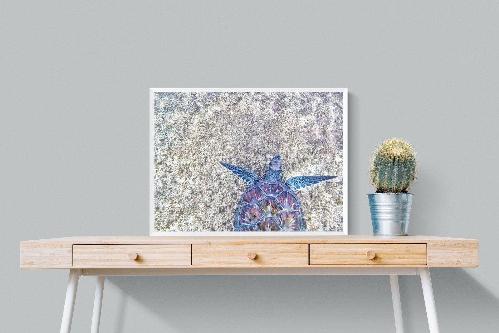 Sapphire Sea Turtle-Wall_Art-80 x 60cm-Mounted Canvas-White-Pixalot