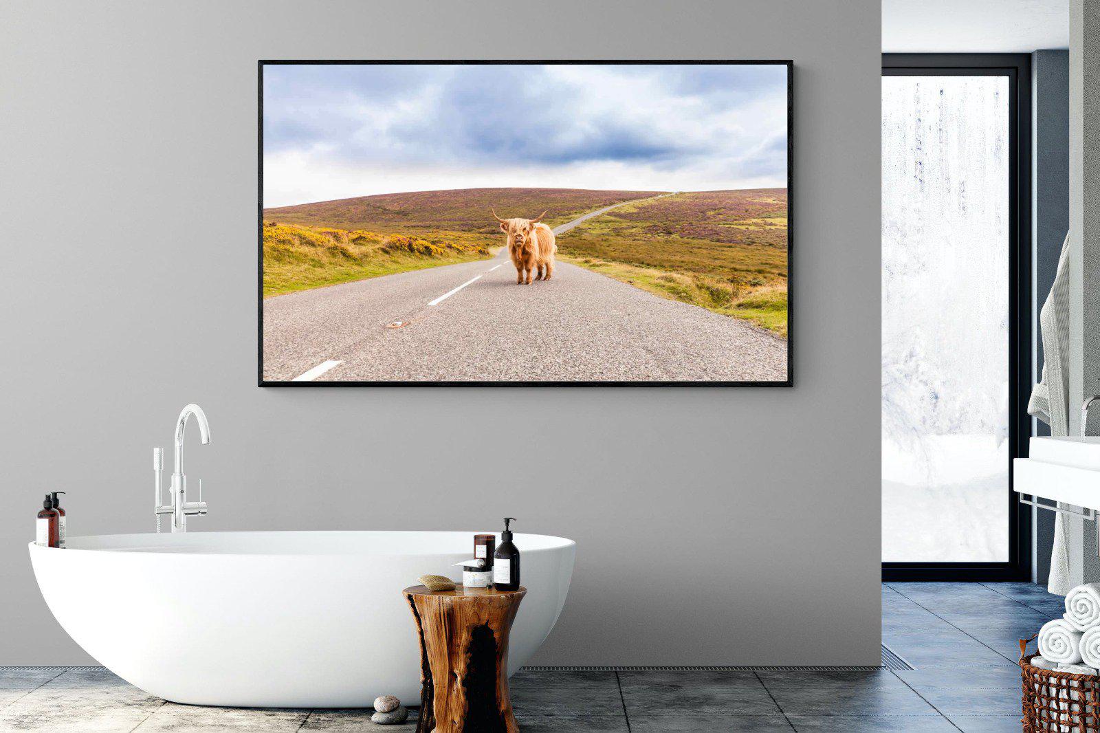 Scottish Highland Cow-Wall_Art-180 x 110cm-Mounted Canvas-Black-Pixalot