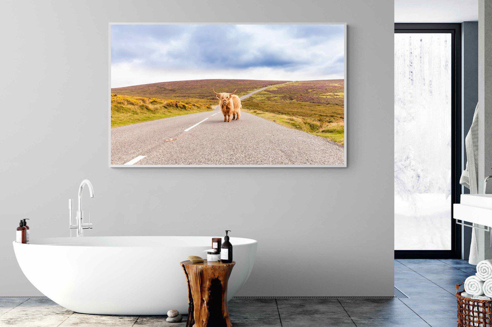 Scottish Highland Cow-Wall_Art-180 x 110cm-Mounted Canvas-White-Pixalot