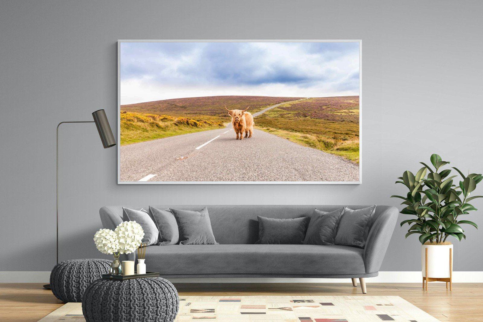 Scottish Highland Cow-Wall_Art-220 x 130cm-Mounted Canvas-White-Pixalot