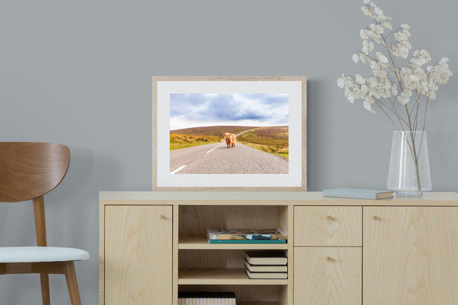 Scottish Highland Cow-Wall_Art-60 x 45cm-Framed Print-Wood-Pixalot