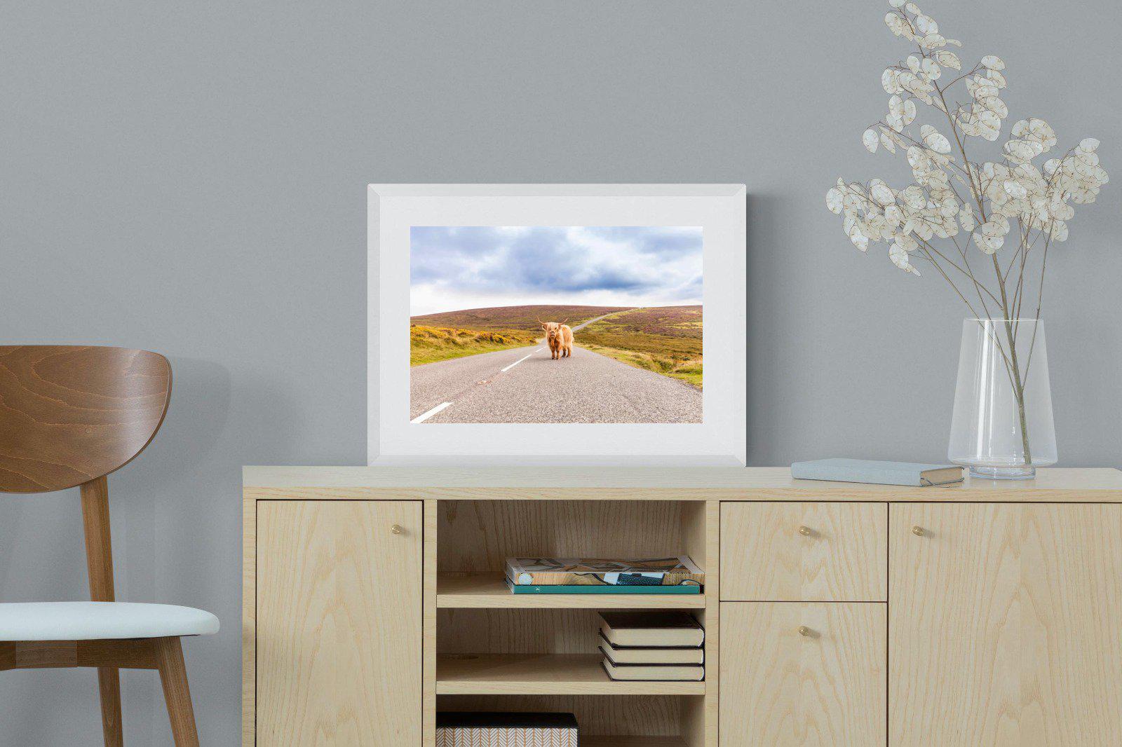 Scottish Highland Cow-Wall_Art-60 x 45cm-Framed Print-White-Pixalot