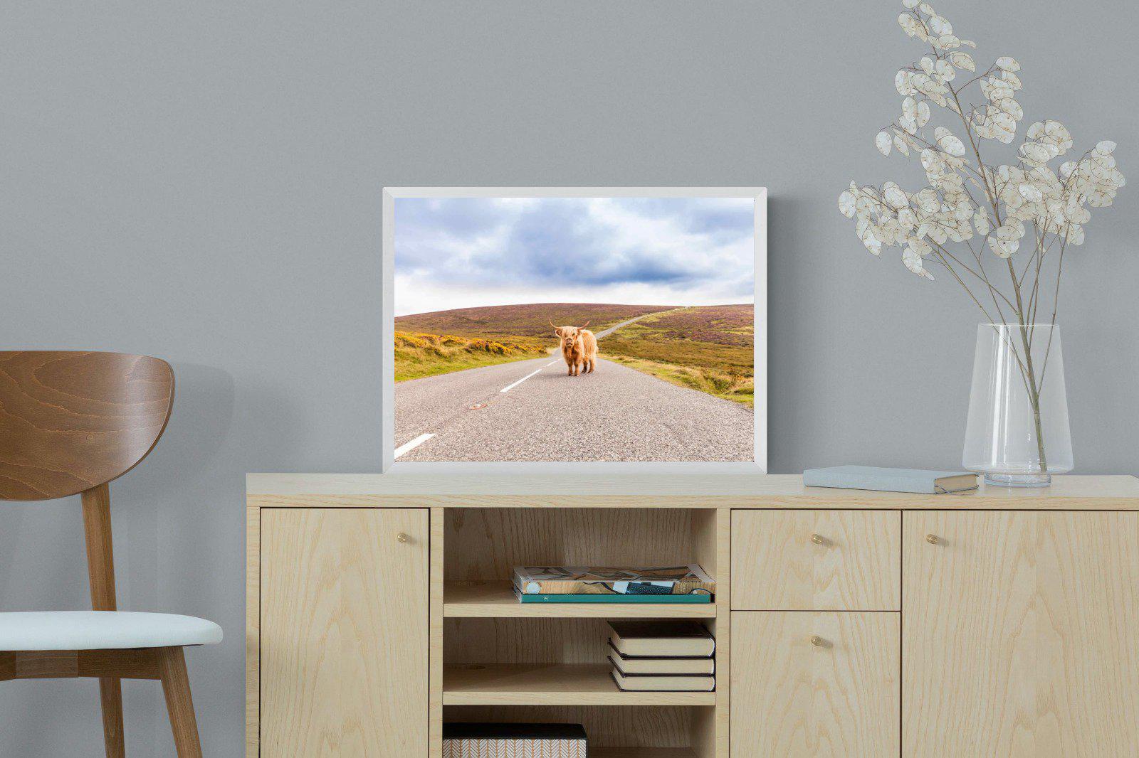 Scottish Highland Cow-Wall_Art-60 x 45cm-Mounted Canvas-White-Pixalot