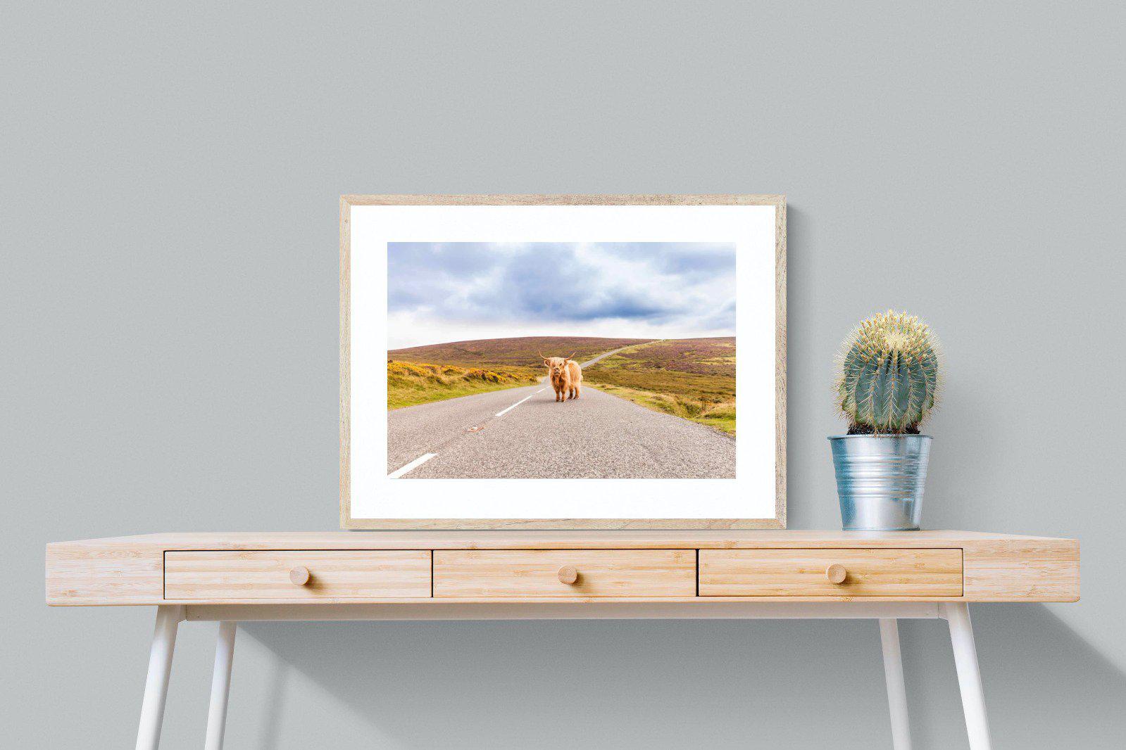 Scottish Highland Cow-Wall_Art-80 x 60cm-Framed Print-Wood-Pixalot