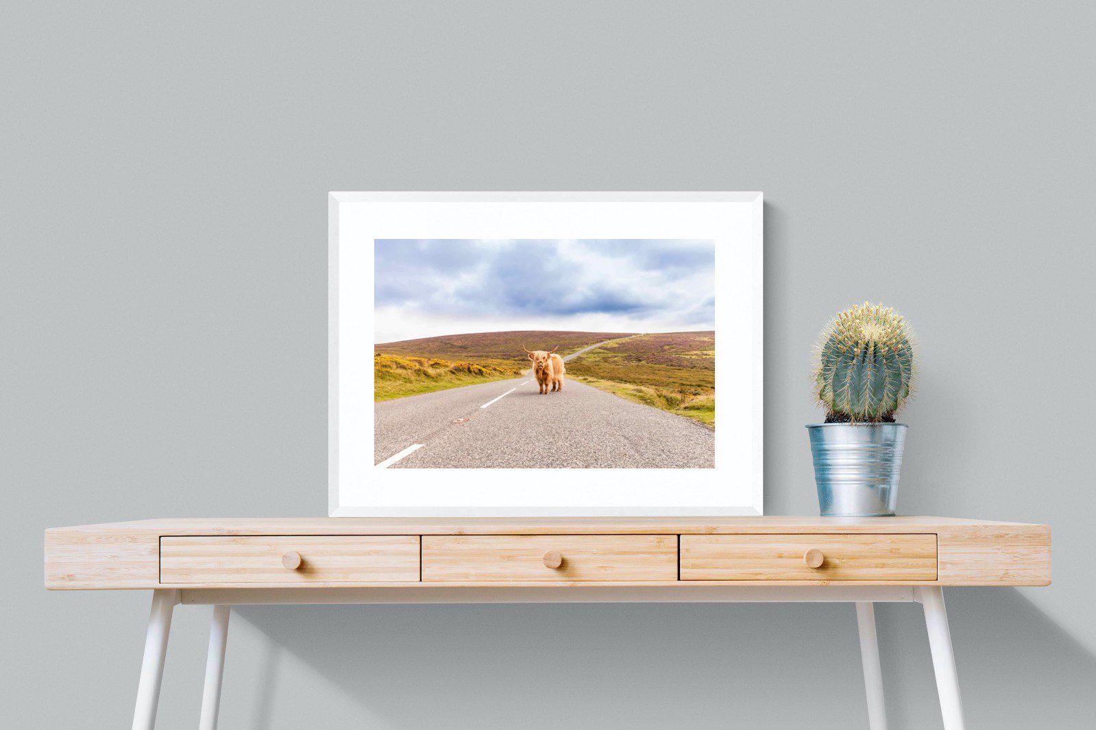 Scottish Highland Cow-Wall_Art-80 x 60cm-Framed Print-White-Pixalot