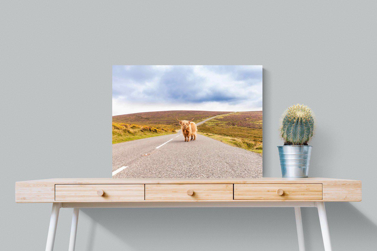 Scottish Highland Cow-Wall_Art-80 x 60cm-Mounted Canvas-No Frame-Pixalot