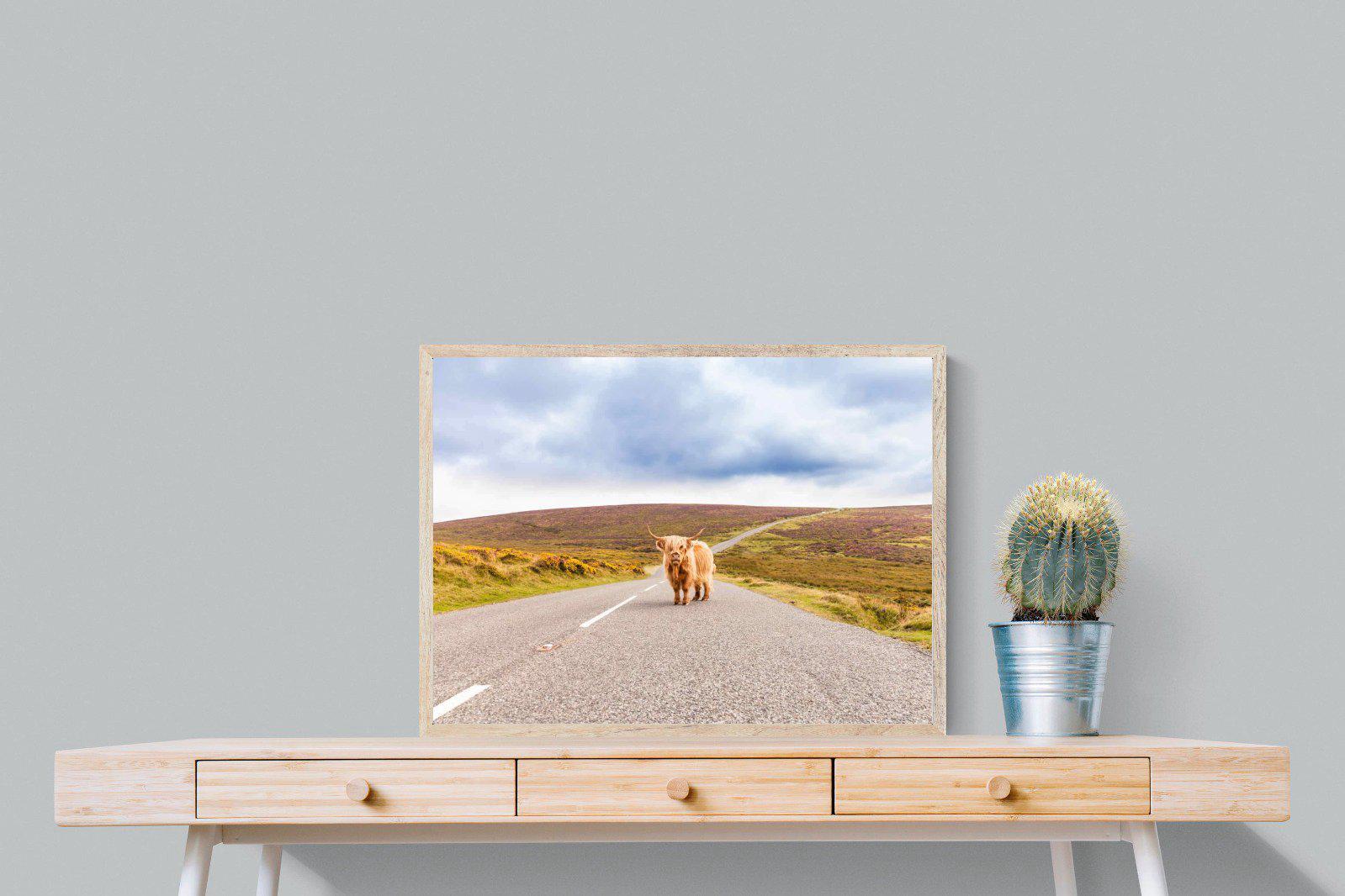 Scottish Highland Cow-Wall_Art-80 x 60cm-Mounted Canvas-Wood-Pixalot