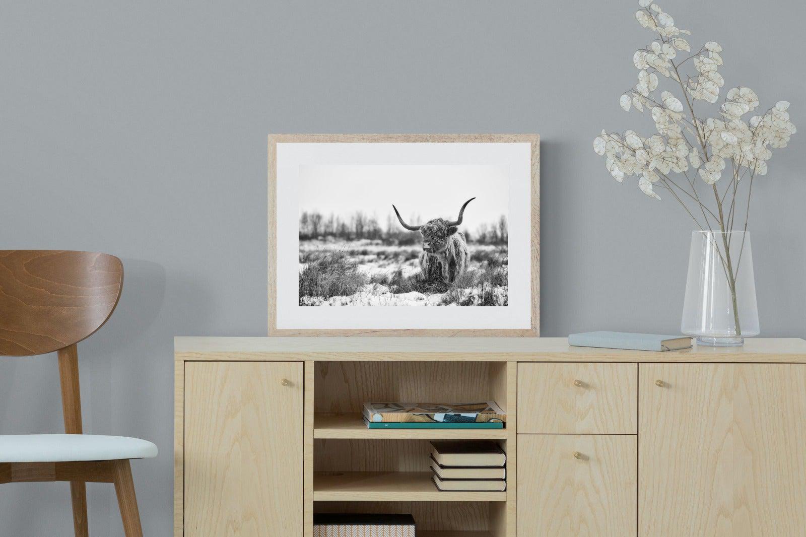 Scottish Highlander (black & white)-Wall_Art-60 x 45cm-Framed Print-Wood-Pixalot