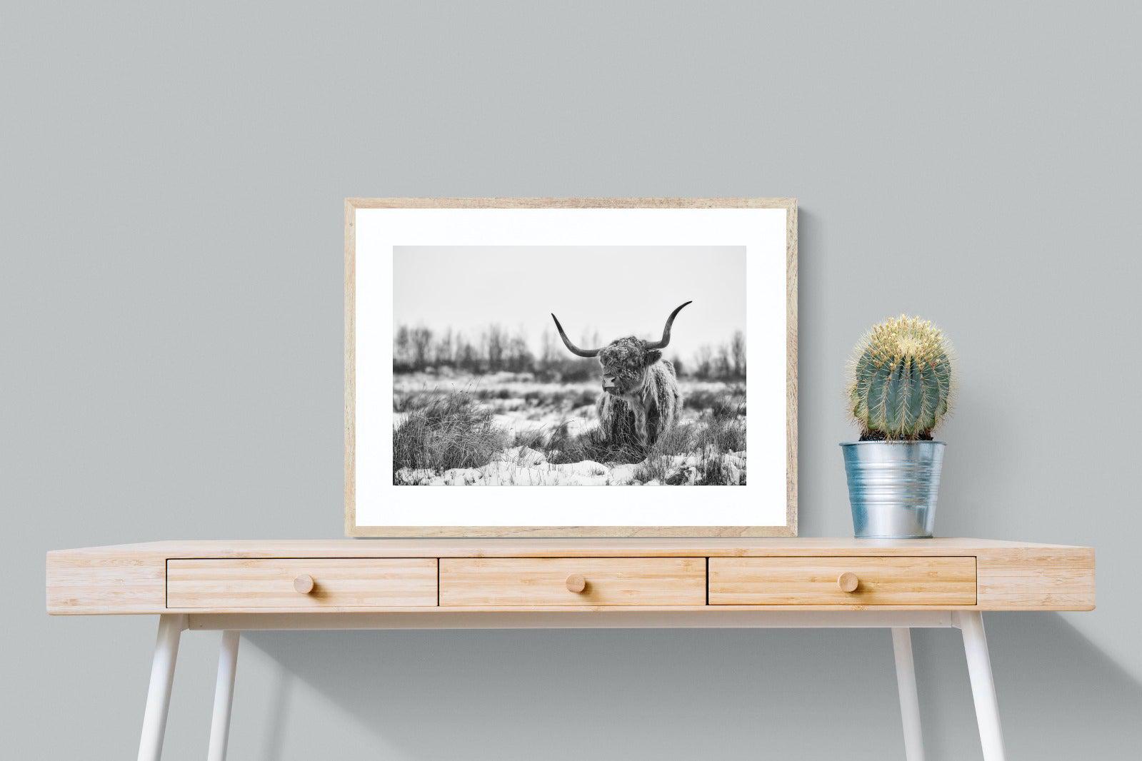 Scottish Highlander (black & white)-Wall_Art-80 x 60cm-Framed Print-Wood-Pixalot