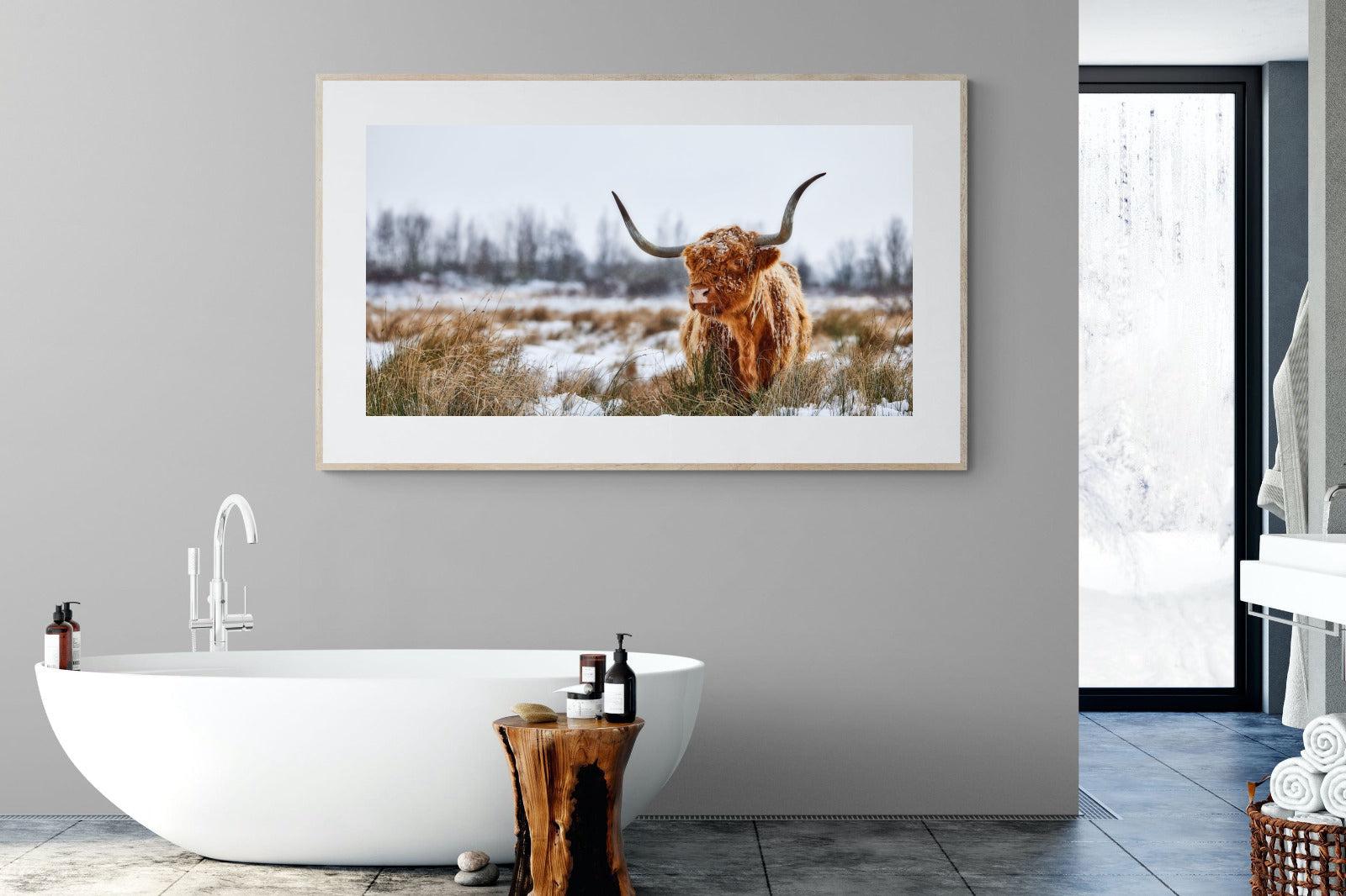 Scottish Highlander (colour)-Wall_Art-180 x 110cm-Framed Print-Wood-Pixalot