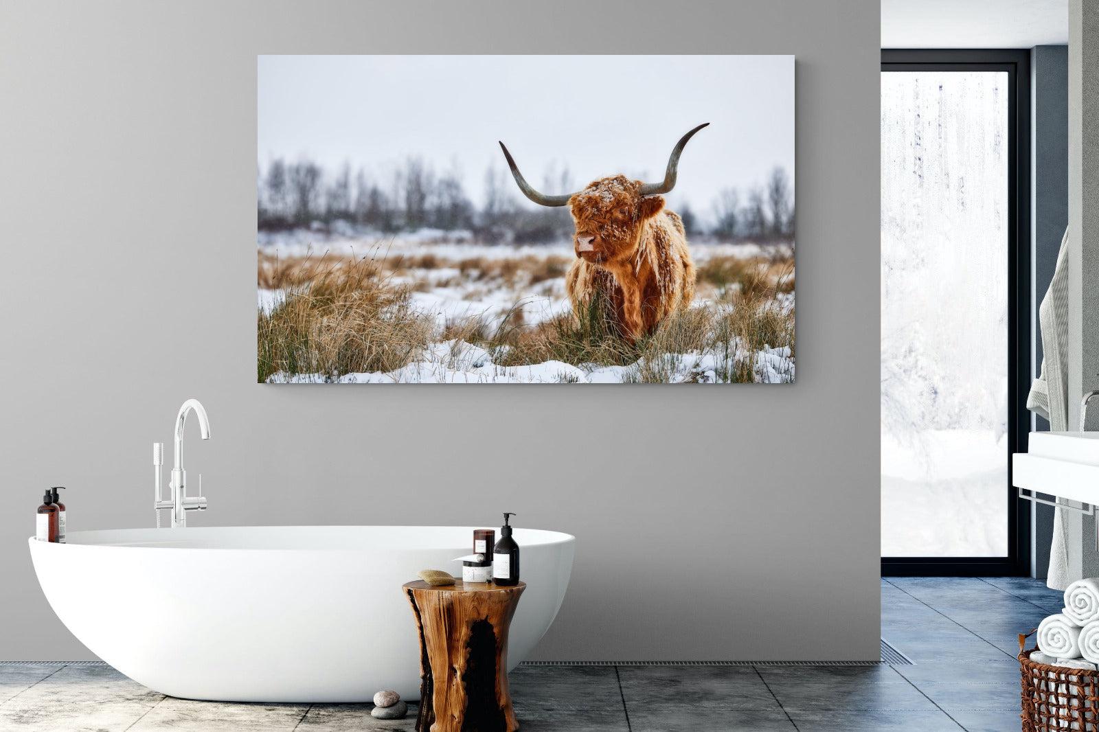 Scottish Highlander (colour)-Wall_Art-180 x 110cm-Mounted Canvas-No Frame-Pixalot