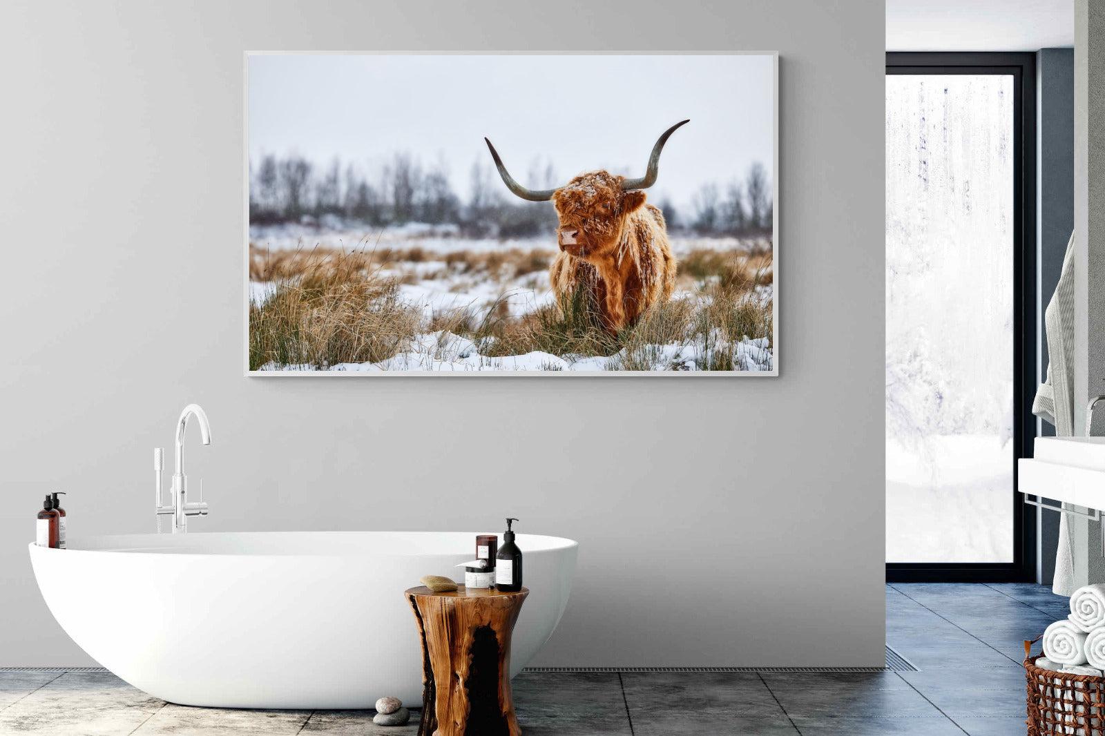 Scottish Highlander (colour)-Wall_Art-180 x 110cm-Mounted Canvas-White-Pixalot