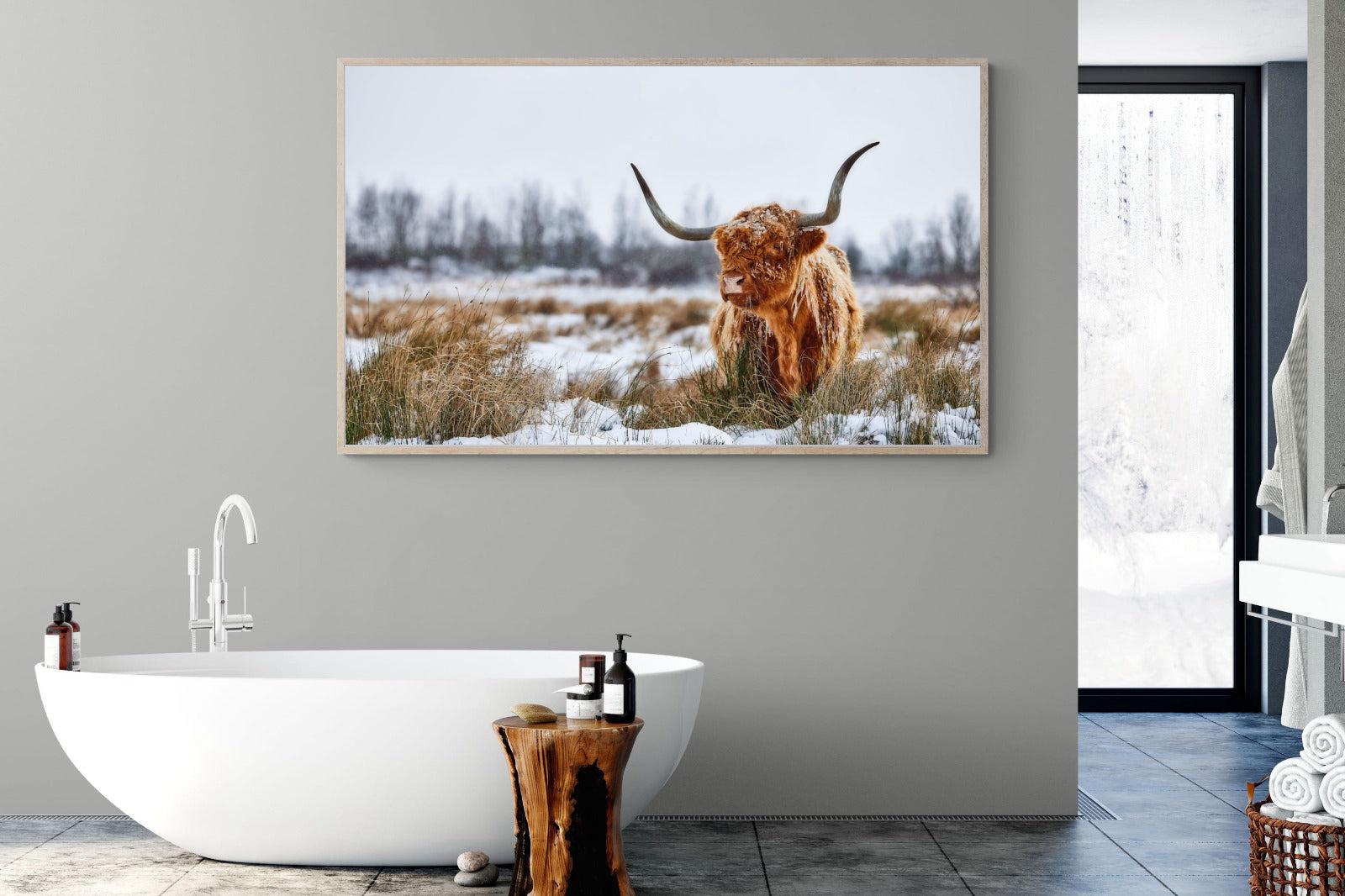 Scottish Highlander (colour)-Wall_Art-180 x 110cm-Mounted Canvas-Wood-Pixalot