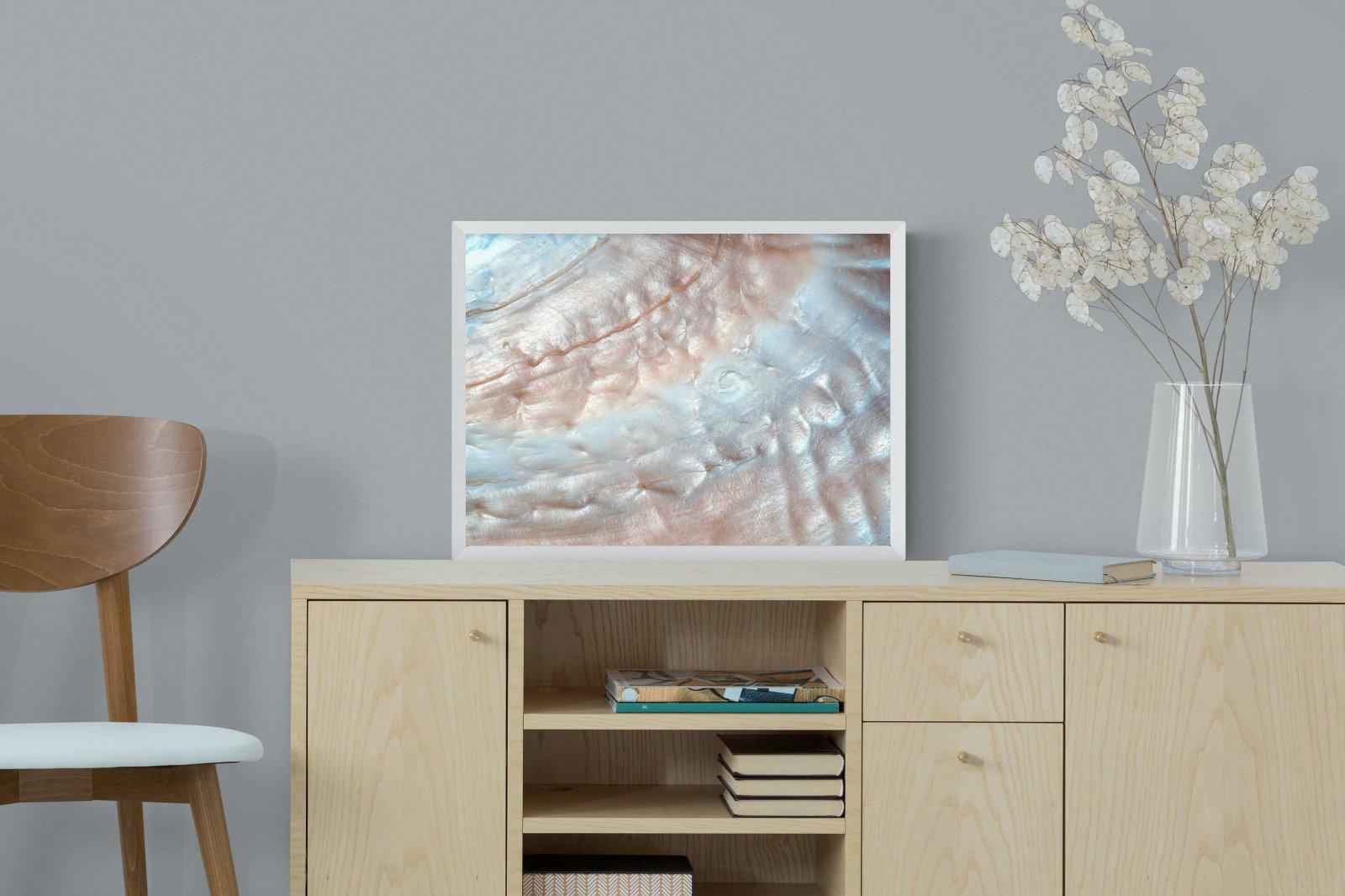 Seashell-Wall_Art-60 x 45cm-Mounted Canvas-White-Pixalot