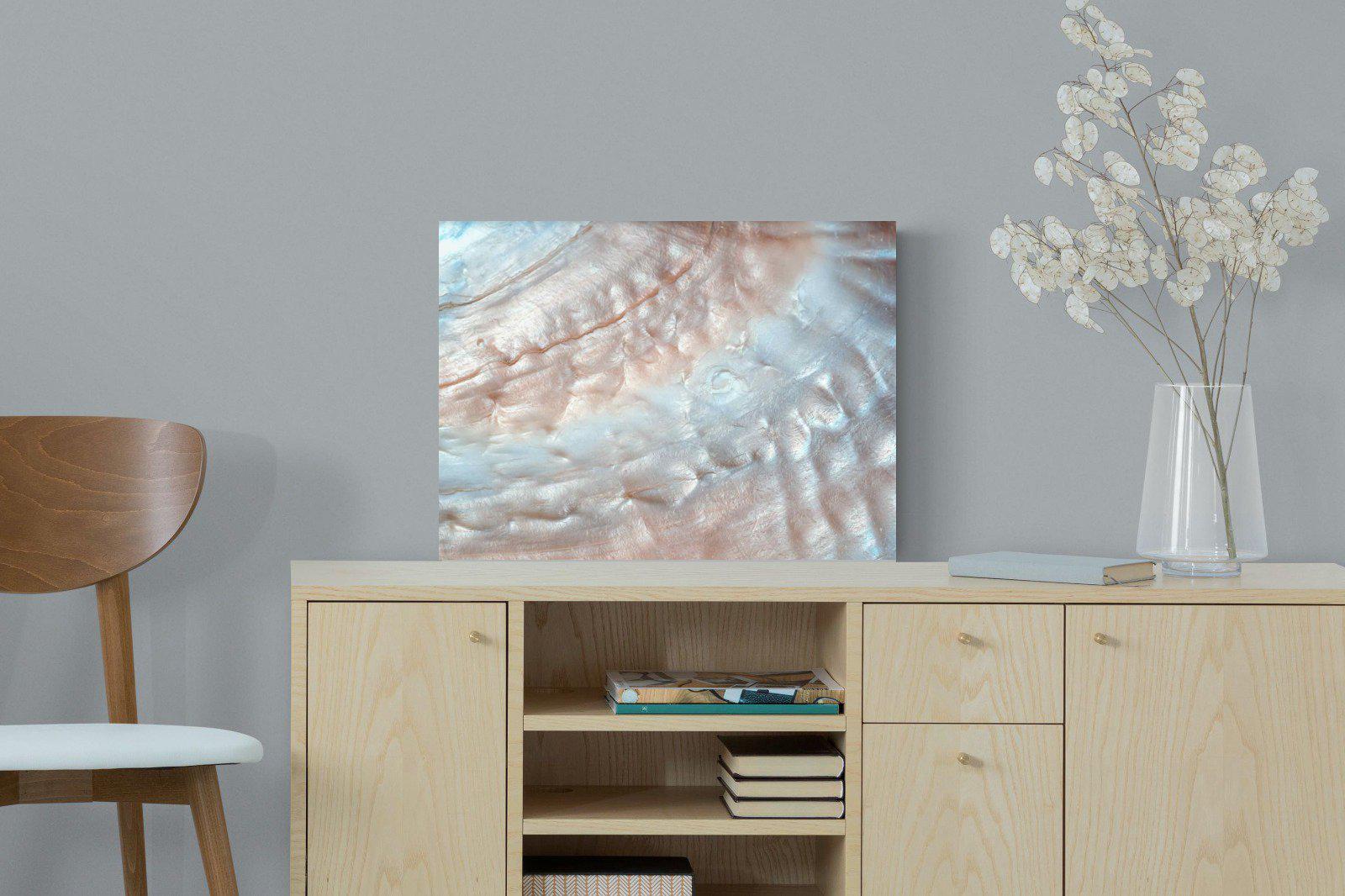 Seashell-Wall_Art-60 x 45cm-Mounted Canvas-No Frame-Pixalot